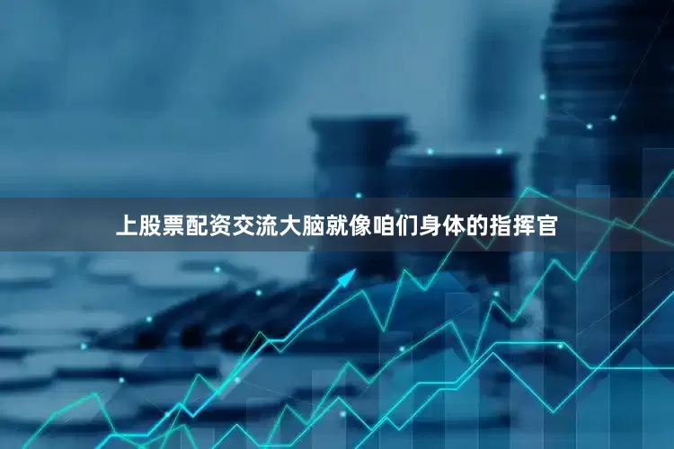 上股票配资交流大脑就像咱们身体的指挥官